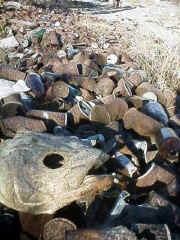 garbage.jpg (55977 bytes)