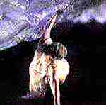 Conception of the Sea