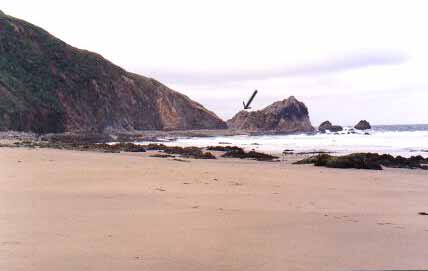 McClures Beach