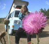 The Saga of Van Glorious